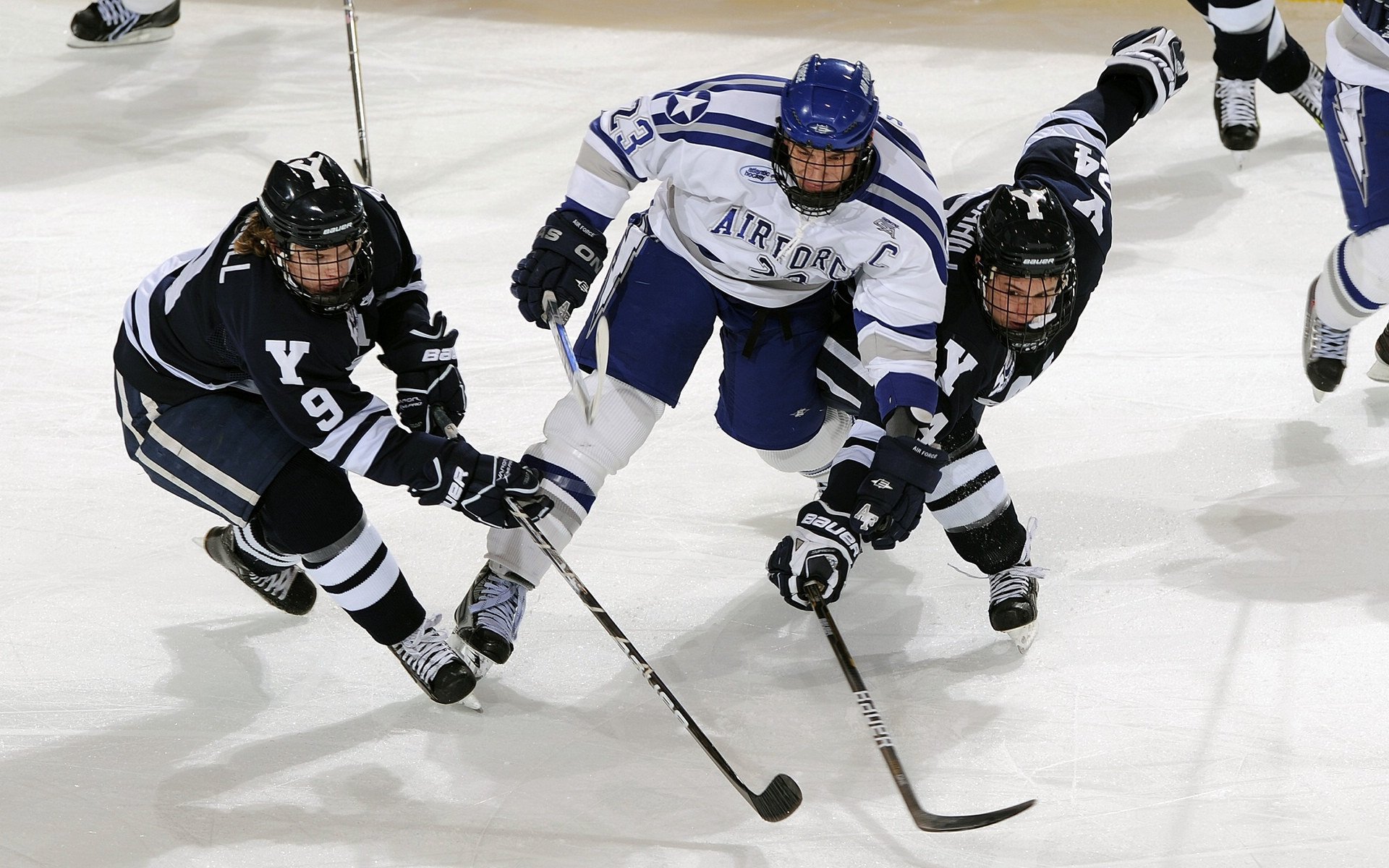 技术雷达图显现动作标准化趋势,雷达图数据标准化